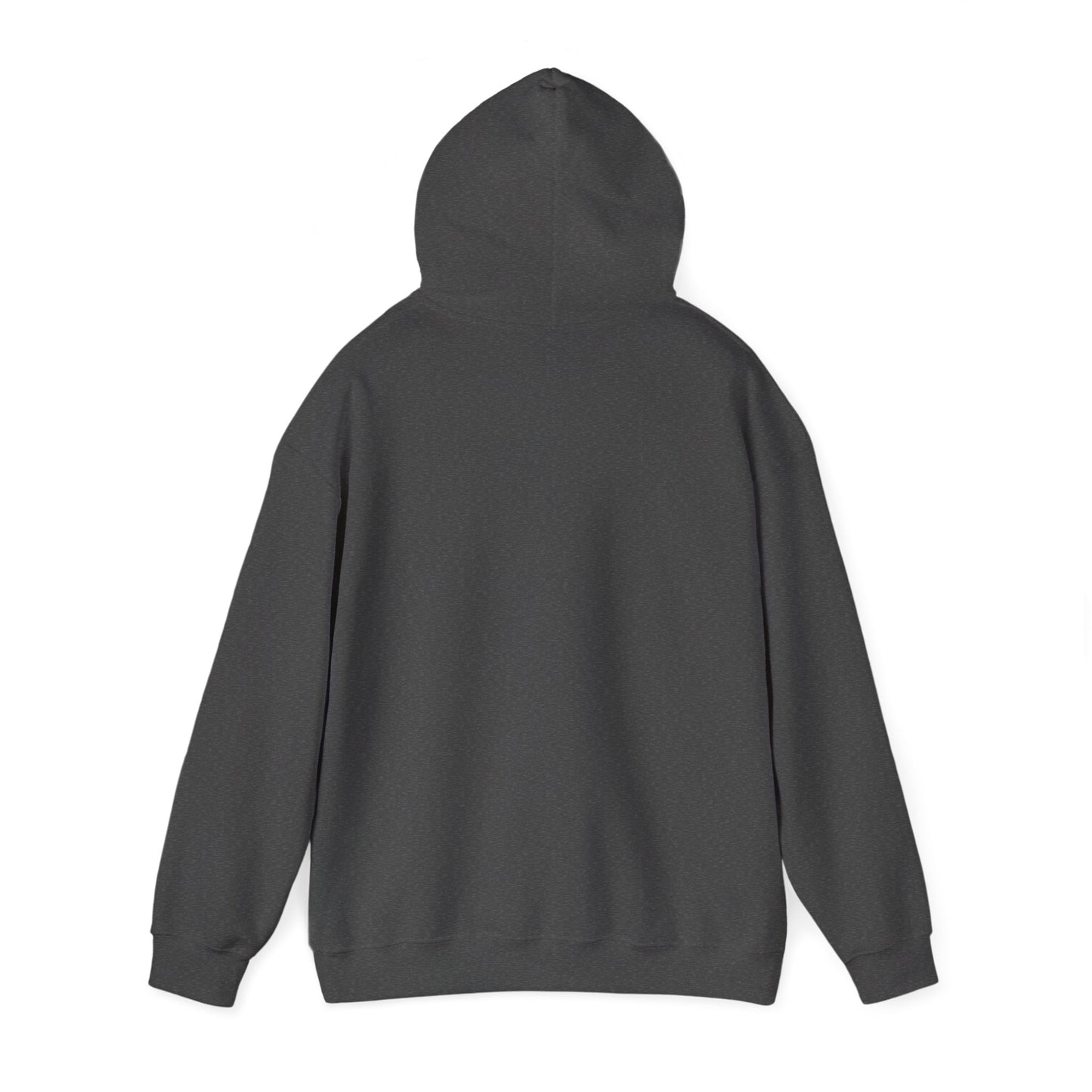 Dark heather hooded sweatshirt shown from behind with the hood raised