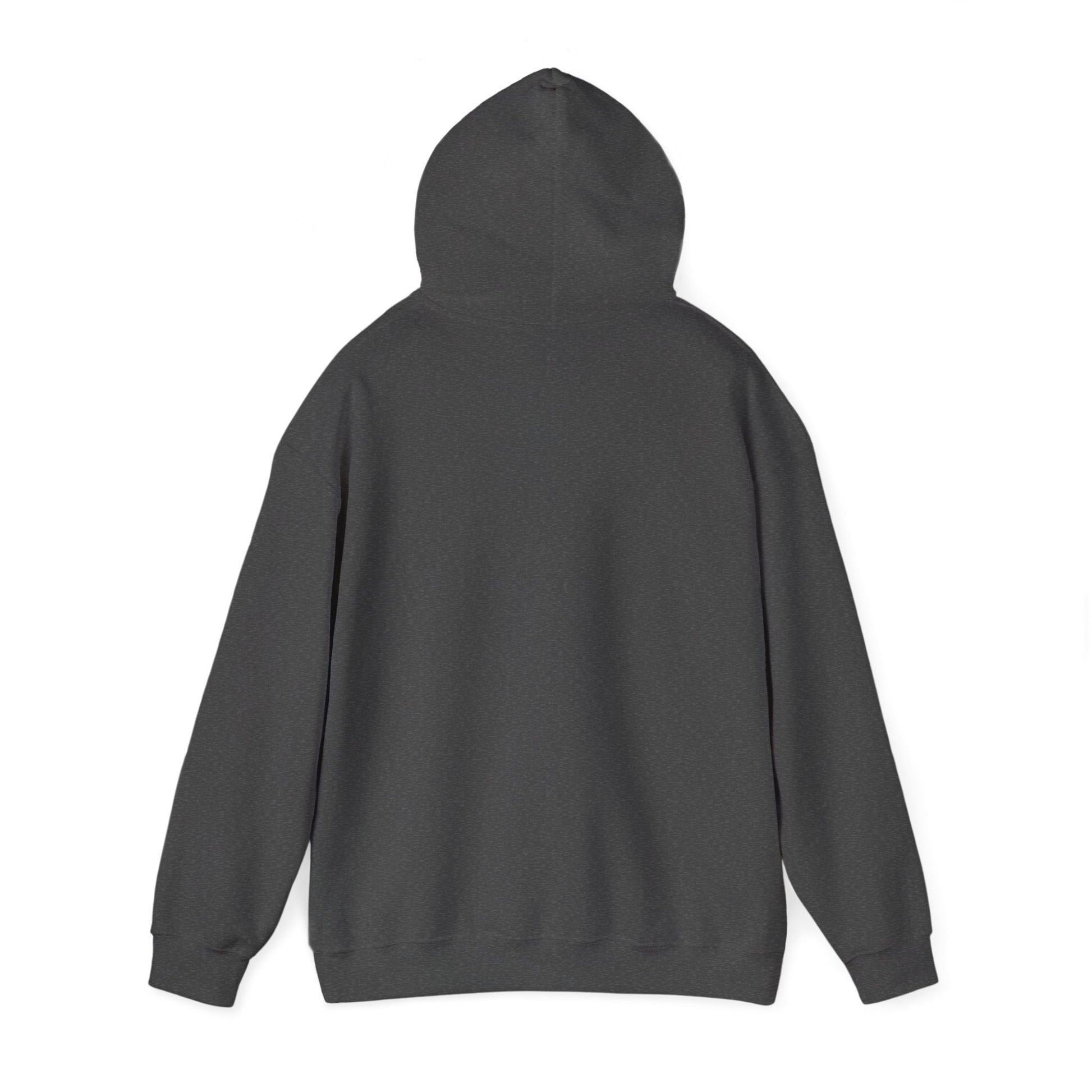 Dark heather hooded sweatshirt shown from behind with the hood raised