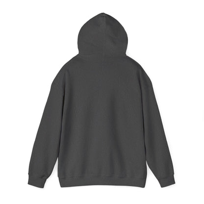 Dark heather hooded sweatshirt shown from behind with the hood raised