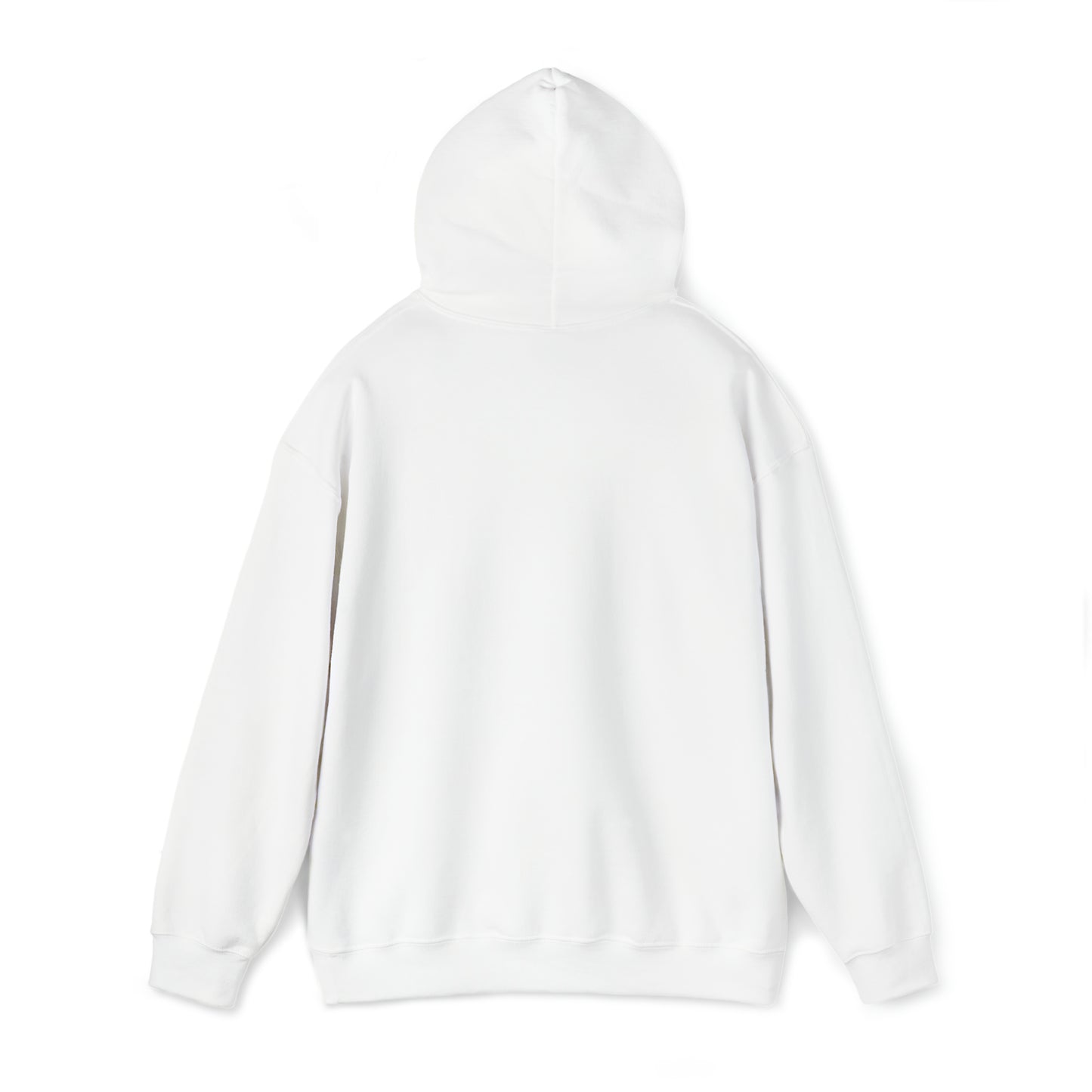 Drippn Ink Co. let's Cruise Hooded Sweatshirt