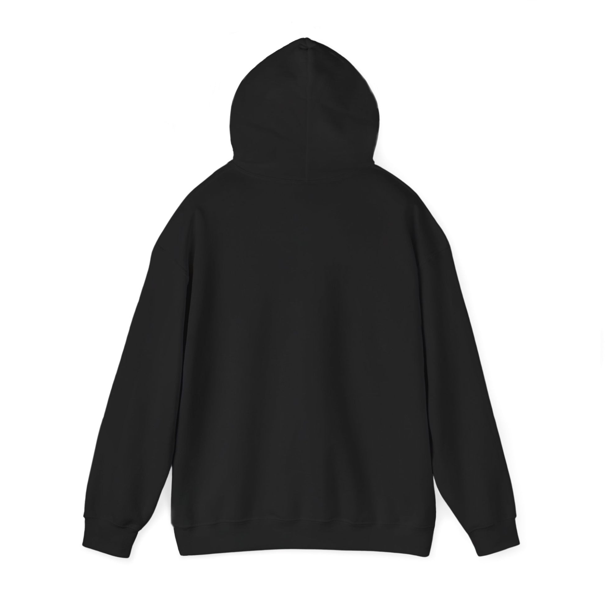 Back of the black hoodie with the hood up, plain with no print.