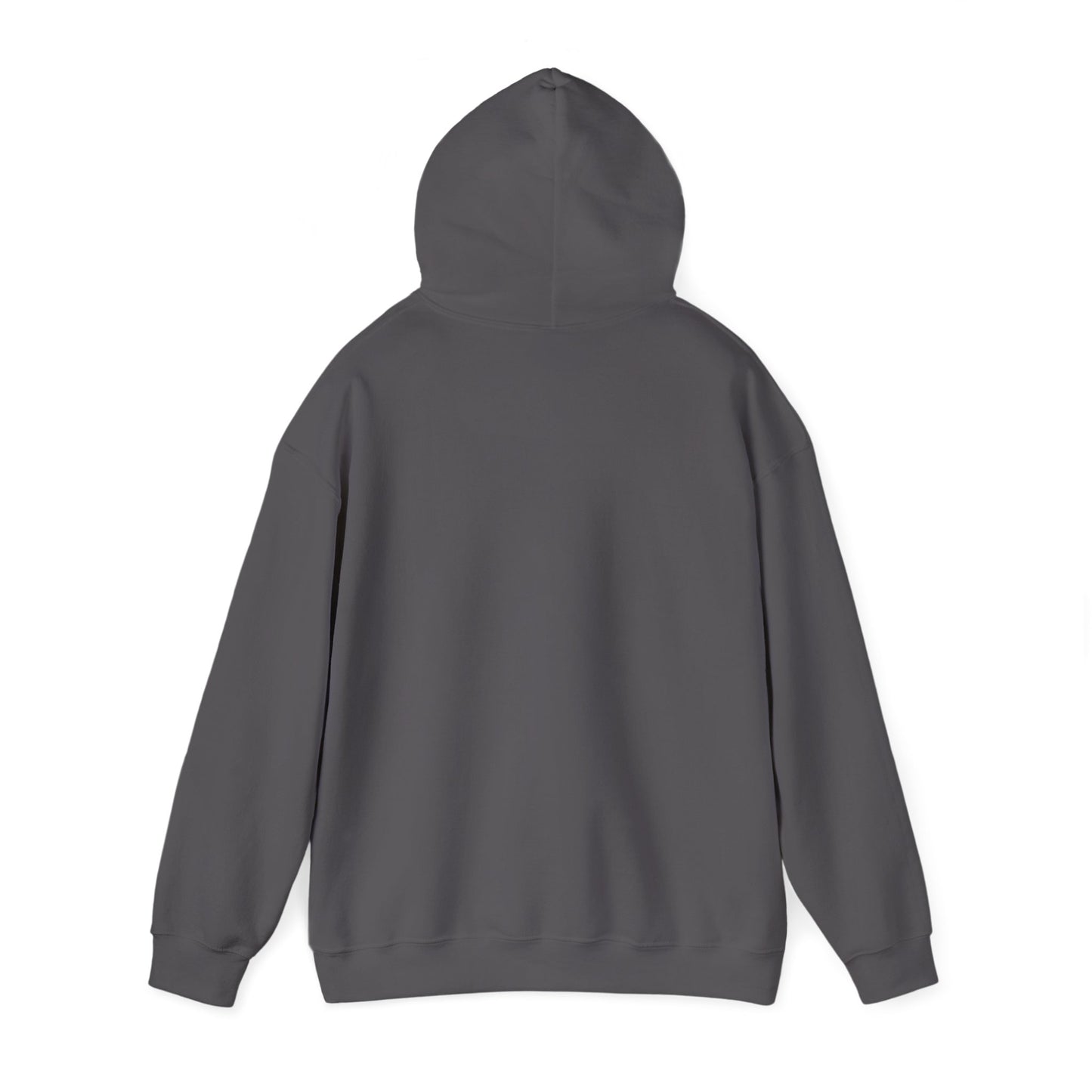 Charcoal hooded sweatshirt shown from behind with the hood raised