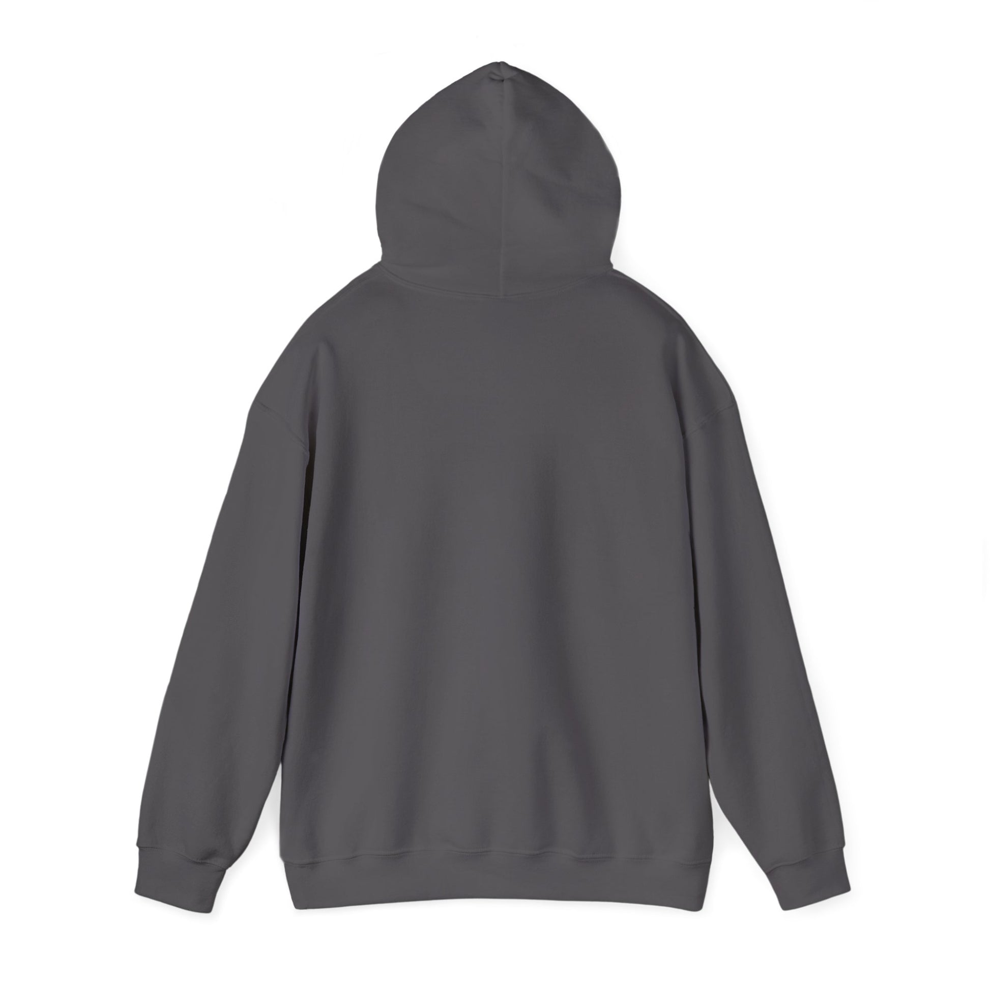 Charcoal hooded sweatshirt shown from behind with the hood raised