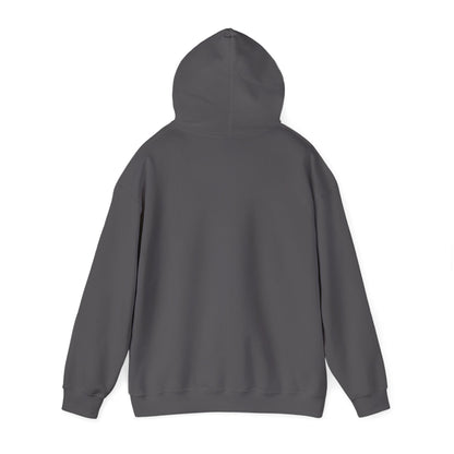 Charcoal hooded sweatshirt shown from behind with the hood raised