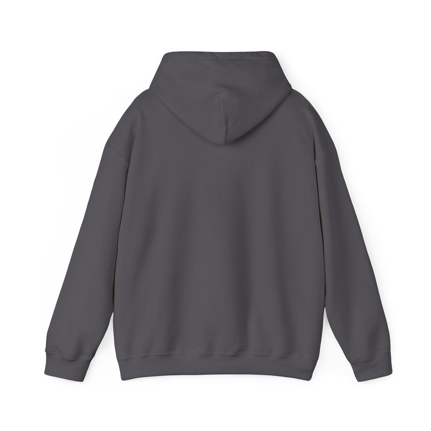 Back view of the charcoal hooded sweatshirt, plain with no print