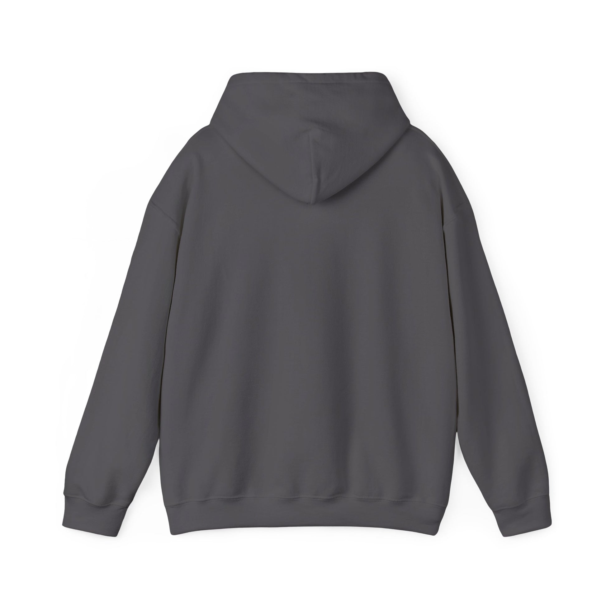Back view of the charcoal hooded sweatshirt, plain with no print
