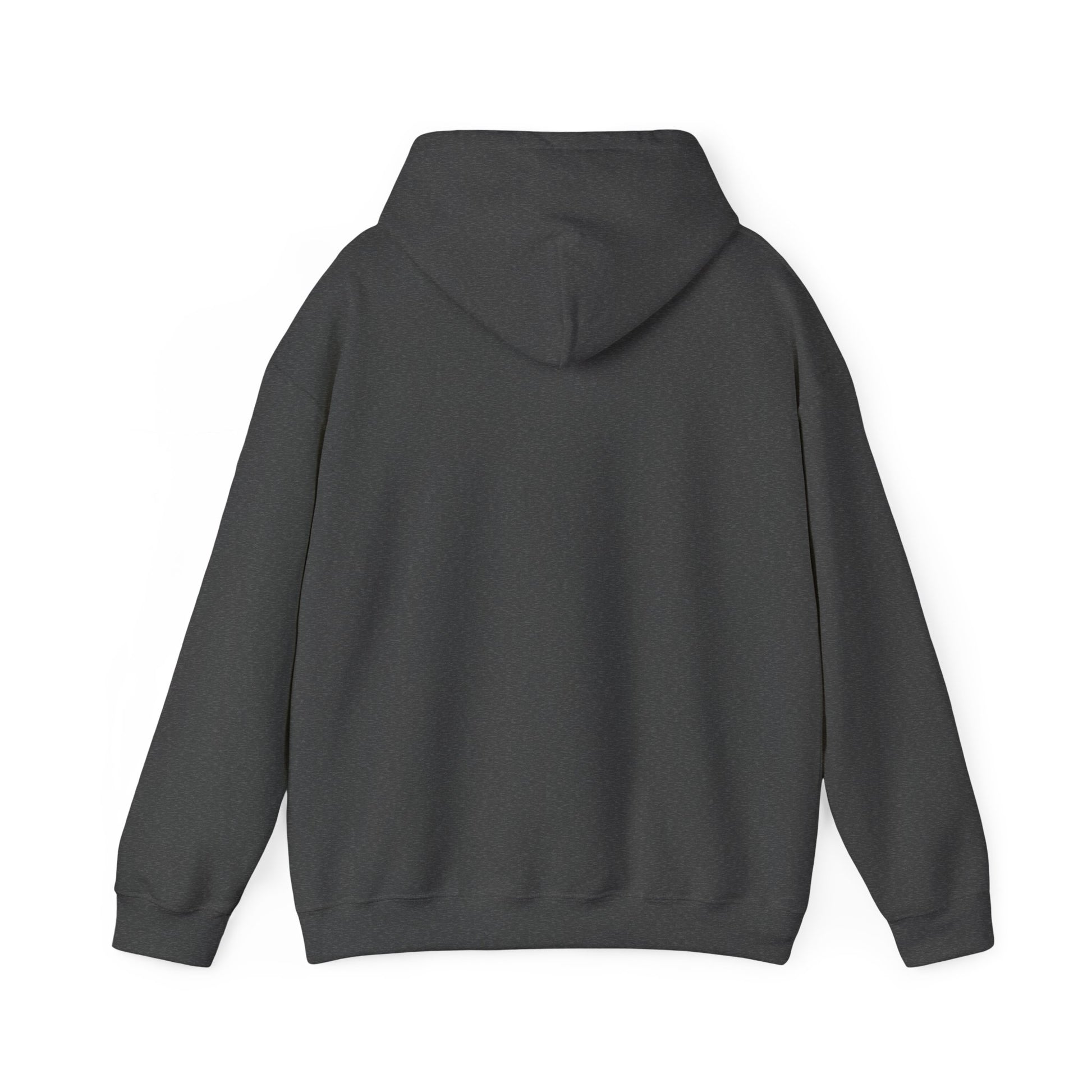 Back view of the dark heather hooded sweatshirt, plain with no print