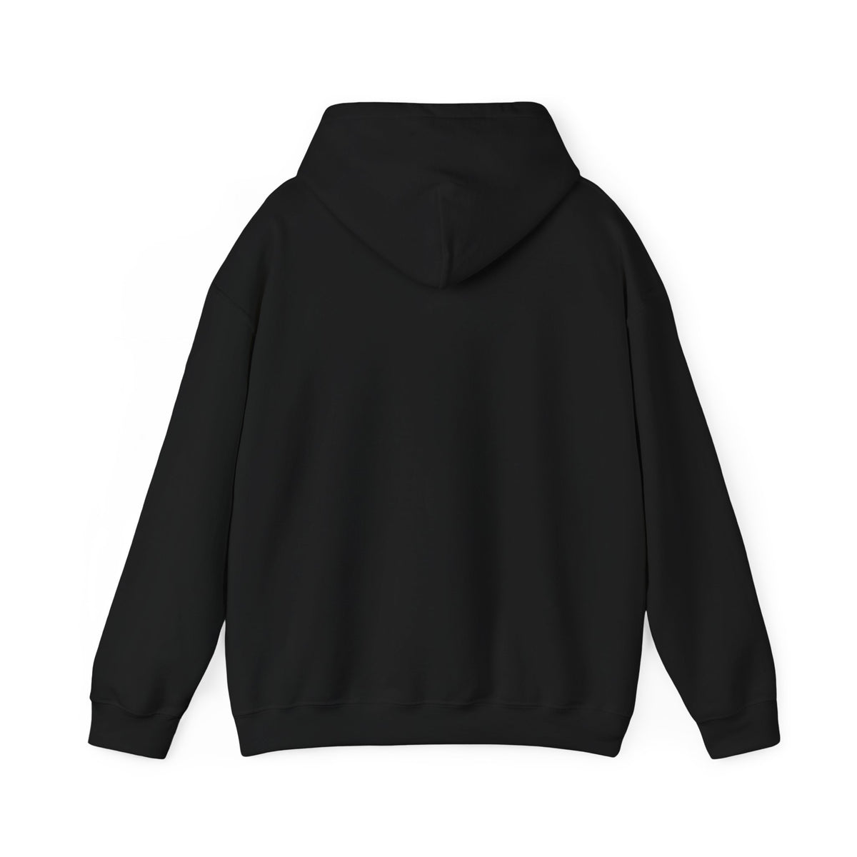 Back of a plain black Drive the Lifestyle pullover hoodie with no print